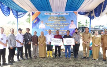 Wakapolres Langkat Hadiri Panen Raya Jagung, Perkuat Sinergi Dukung Ketahanan Pangan dan Kesejahteraan Petani