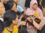 Warga Binjai Kota Digegerkan Penemuan Bayi di Tumpukan Sampah