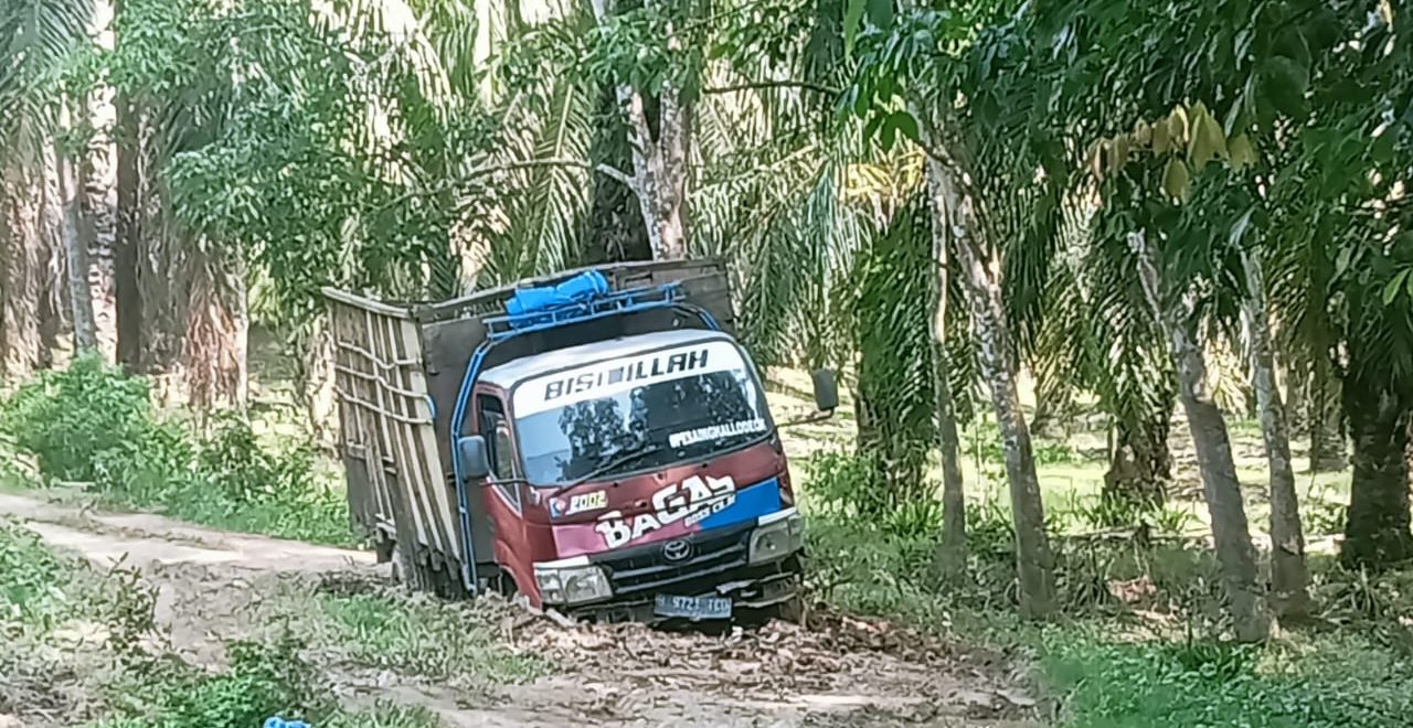 Bidan Desa di Langkat 