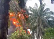Dapur Penyulingan Minyak Ilegal di Gebang Terbakar, Asap Hitam Membubung