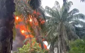 Dapur Penyulingan Minyak Ilegal di Gebang Terbakar, Asap Hitam Membubung