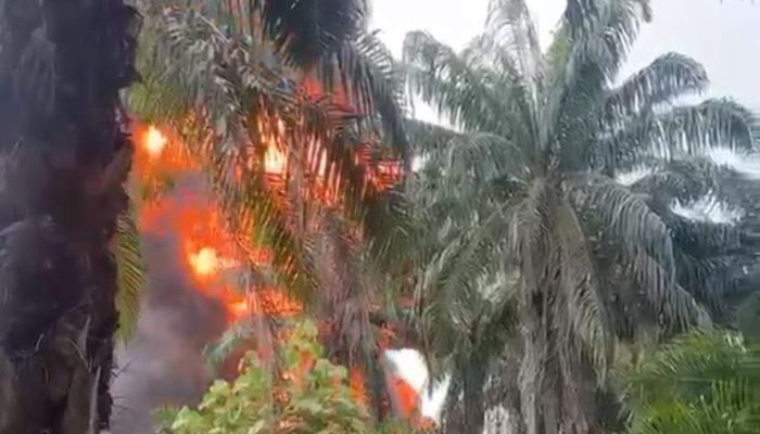 Dapur Penyulingan Minyak Ilegal di Gebang Terbakar, Asap Hitam Membubung