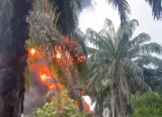 Dapur Penyulingan Minyak Ilegal di Gebang Terbakar, Asap Hitam Membubung