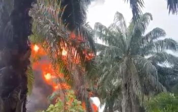 Dapur Penyulingan Minyak Ilegal di Gebang Terbakar