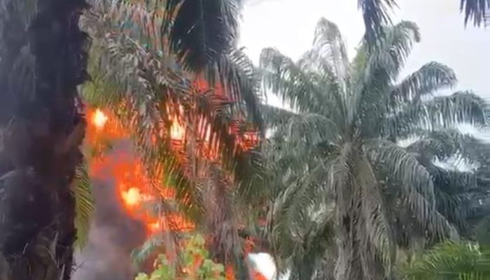 Dapur Penyulingan Minyak Ilegal di Gebang Terbakar, Asap Hitam Membubung