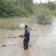 Hutan Mangrove Rusak, Penghasilan Nelayan Kepiting di Langkat Terjun Bebas