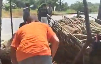 Becak Motor dan Mobil Pikap Terlibat Kecelakaan di Paluh Manis Gebang, Satu Orang Meninggal