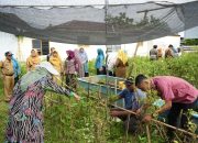 Ketua TP PKK Binjai