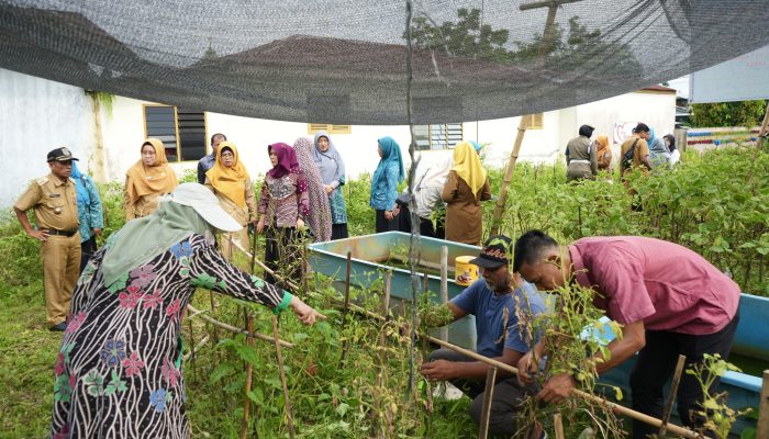 Ketua TP PKK Binjai Tinjau Bank Sampah dan Rumah Bibit, Perkuat Ketahanan Pangan Keluarga