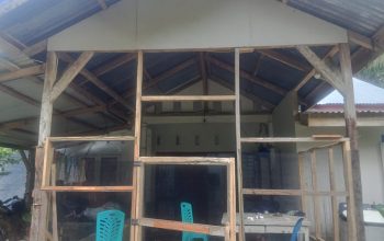 Bidan Desa di Langkat Rela Tempuh Jalur Laut Demi Layani Pasien, Harapkan Jalan dan Pustu Segera Diperbaiki