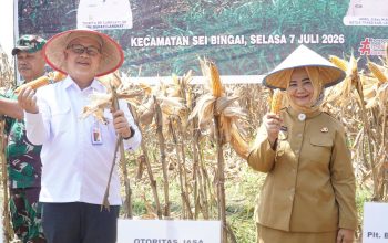 Panen Raya Jagung di Sei Bingai, Pemkab Langkat Perkuat Dukungan untuk Petani
