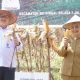 Panen Raya Jagung di Sei Bingai, Pemkab Langkat Perkuat Dukungan untuk Petani
