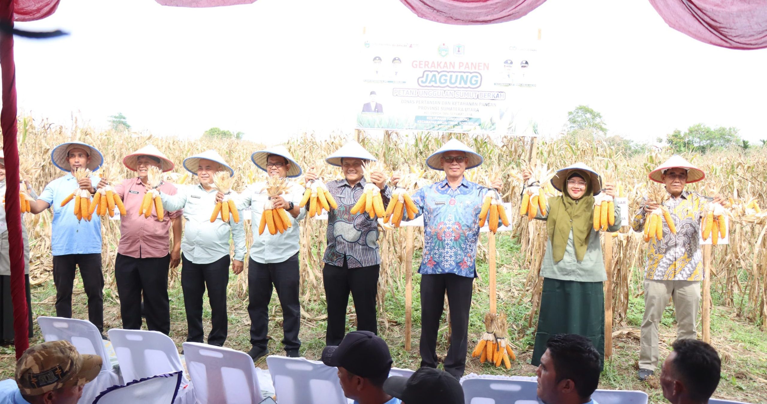 Panen Jagung di Tunggurono