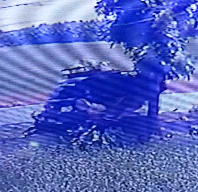 Rekaman CCTV Detik-Detik Becak Bermotor ditabrak