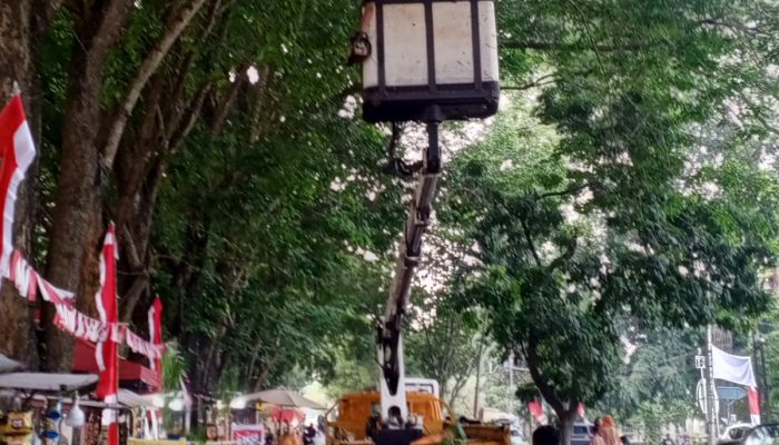 Setelah Dikeluhkan Warga, DLH Langsung Turun Lakukan Peremajaan Pohon Besar di Stabat