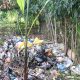 Tinjau Tumpukan Sampah di Berngam, Pemko Binjai Dorong Warga Jaga Kebersihan