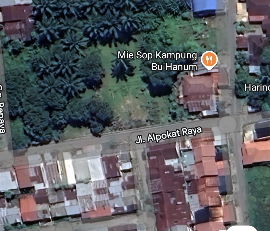 Viral Jalan Alpukat Raya Dikeluhkan Warga