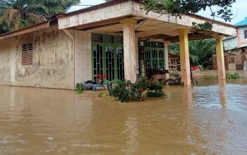 Banjir Desa Sekoci Besitang Mulai Surut, 228 KK Terdampak
