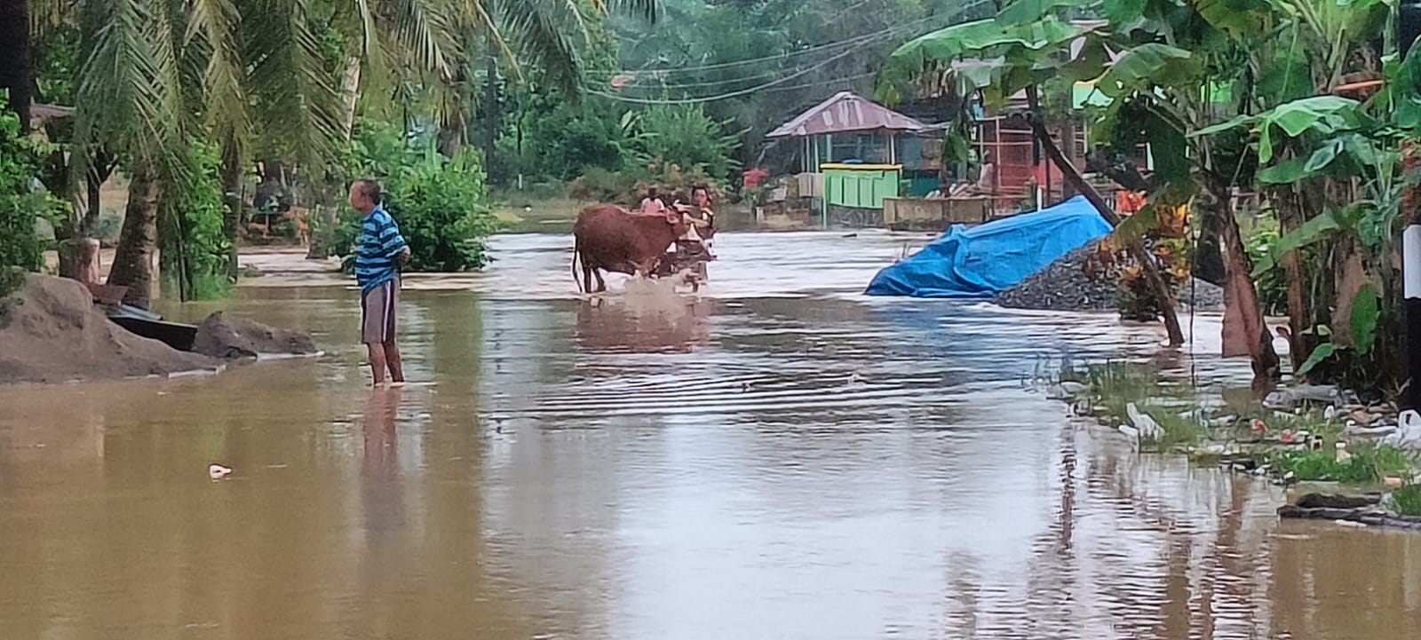 Banjir Desa Sekoci Besitang Mulai Surut