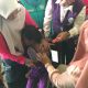 Camat Binjai Selatan Tinjau BIAS 2026, Dorong Anak Dapat Imunisasi Sesuai Sasaran
