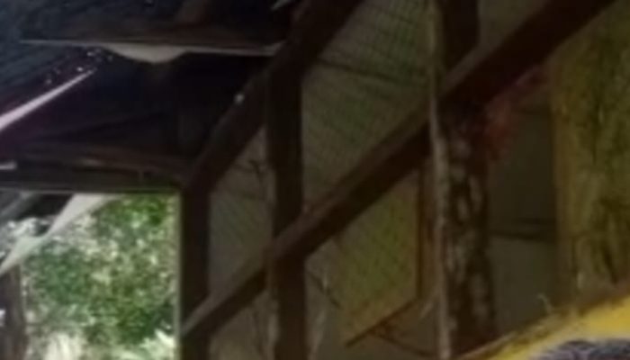 Fasilitas SD Negeri 050652 Sei Musam Disorot, Plafon Rusak hingga MCK Tak Dilengkapi Air
