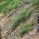 Jembatan PT Rapala Ambles, Akses Bukit Lawang-Tangkahan Terganggu