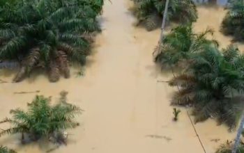 Sungai Sekoci Kembali Naik