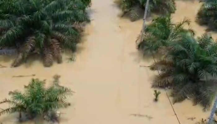 Sungai Sekoci Kembali Naik, Warga Besitang Diminta Tingkatkan Kewaspadaan