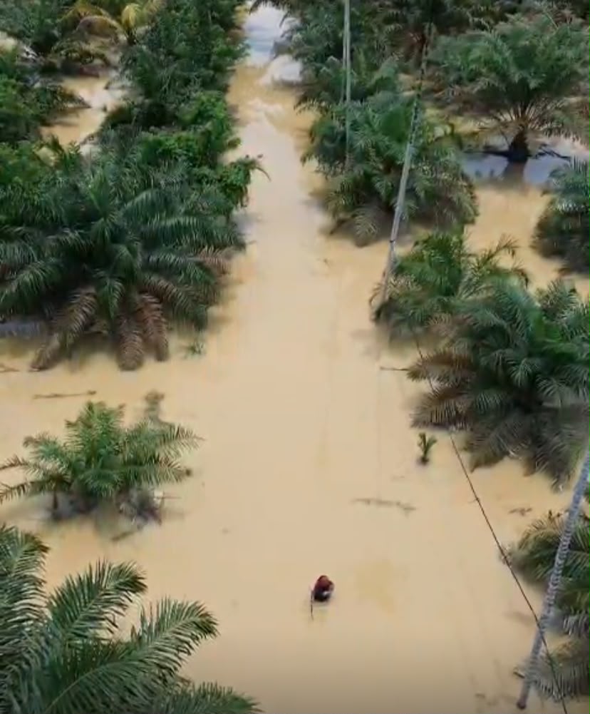 Sungai Sekoci Kembali Naik