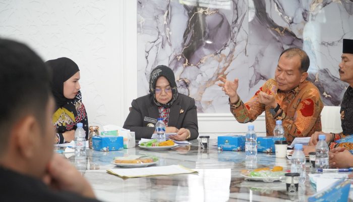 Tiorita Tindak Lanjuti Arahan Gubernur Sumut soal THM Blue Night di Sei Bingai