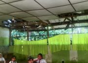 Tiga Ruang Kelas SDN 056587 Pantai Sampah Bahorok Rusak, Kegiatan Belajar Terganggu