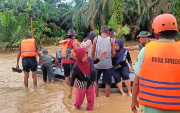 Banjir Kembali Rendam Desa Sekoci Besitang, Warga Dievakuasi