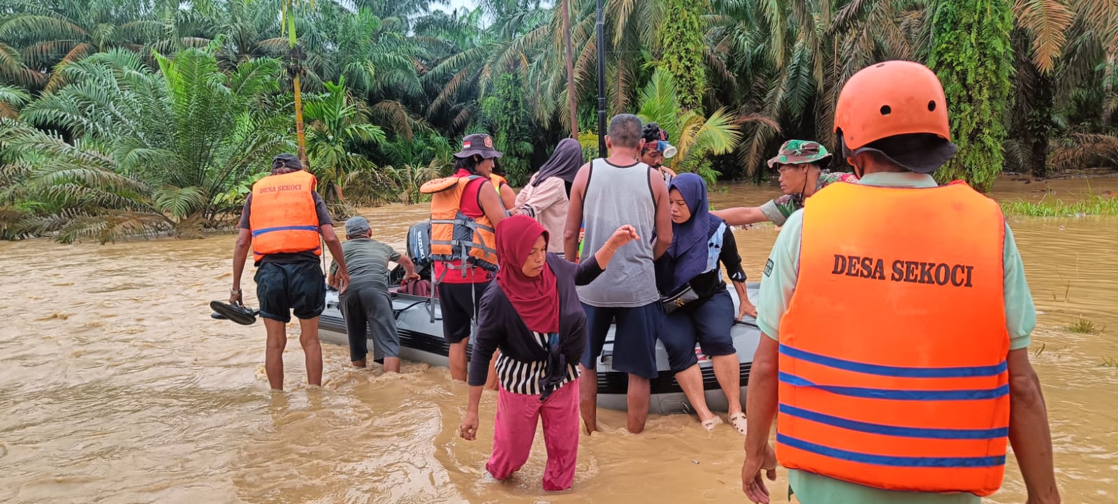 Banjir Kembali Rendam Desa Sekoci Besitang, Warga Dievakuasi