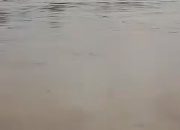 Debit Sungai Wampu Meningkat, Warga Muka Paya Khawatir Tanggul Jebol, Pemerintah Diminta Segera Bertindak