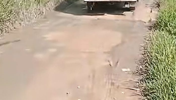 Jalan Rusak Parah, Warga Desa Muka Paya Langkat Minta Pemkab Segera Bertindak