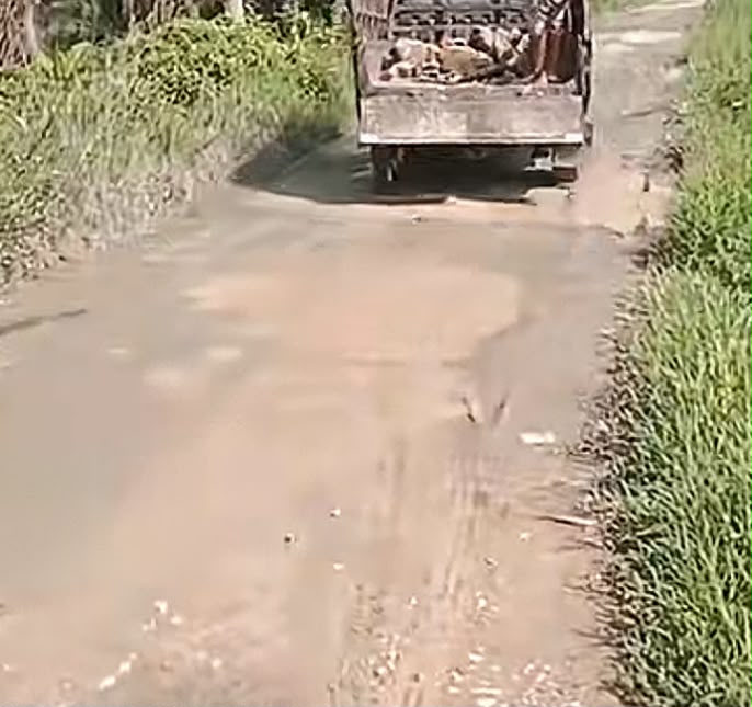 Jalan Rusak Langkat