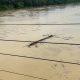 Sungai Wampu Langkat Mulai Naik, Air Keruh dan Batang Kayu Hanyut
