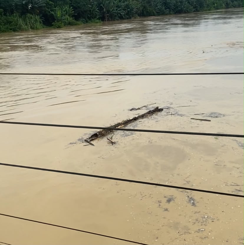 Sungai Wampu Langkat Mulai Naik, Air Keruh dan Batang Kayu Hanyut