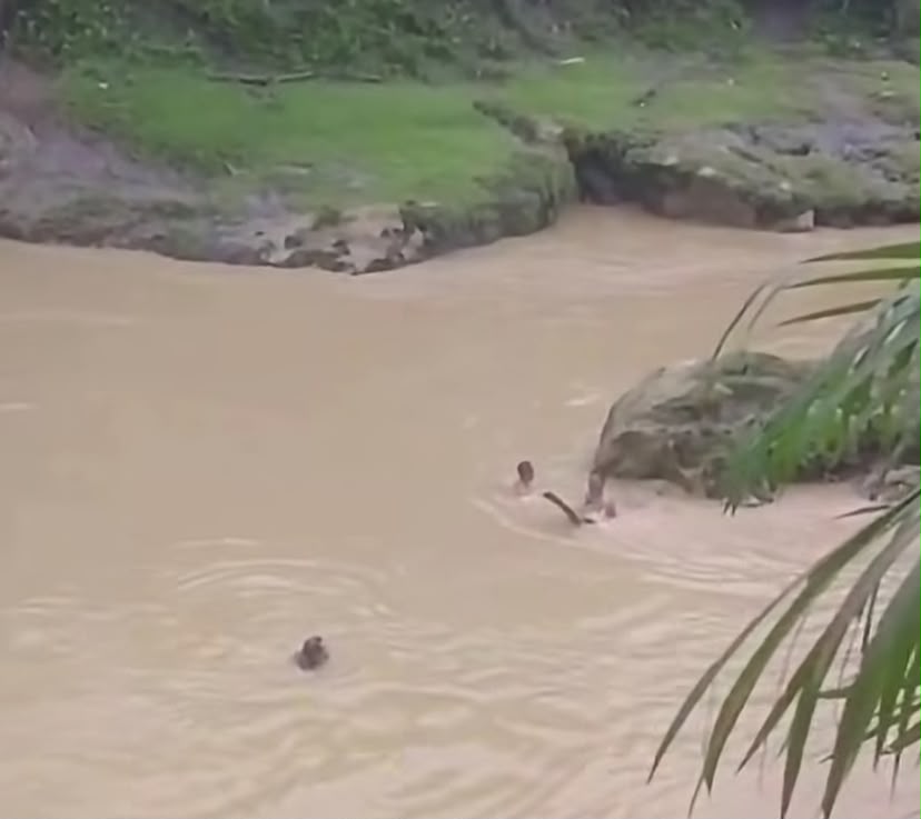 Tenggelam di Langkat
