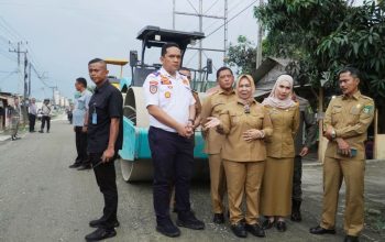 Tinjau Perbaikan Jalan Secanggang, Tiorita Dorong Akses Transportasi dan Ekonomi Warga